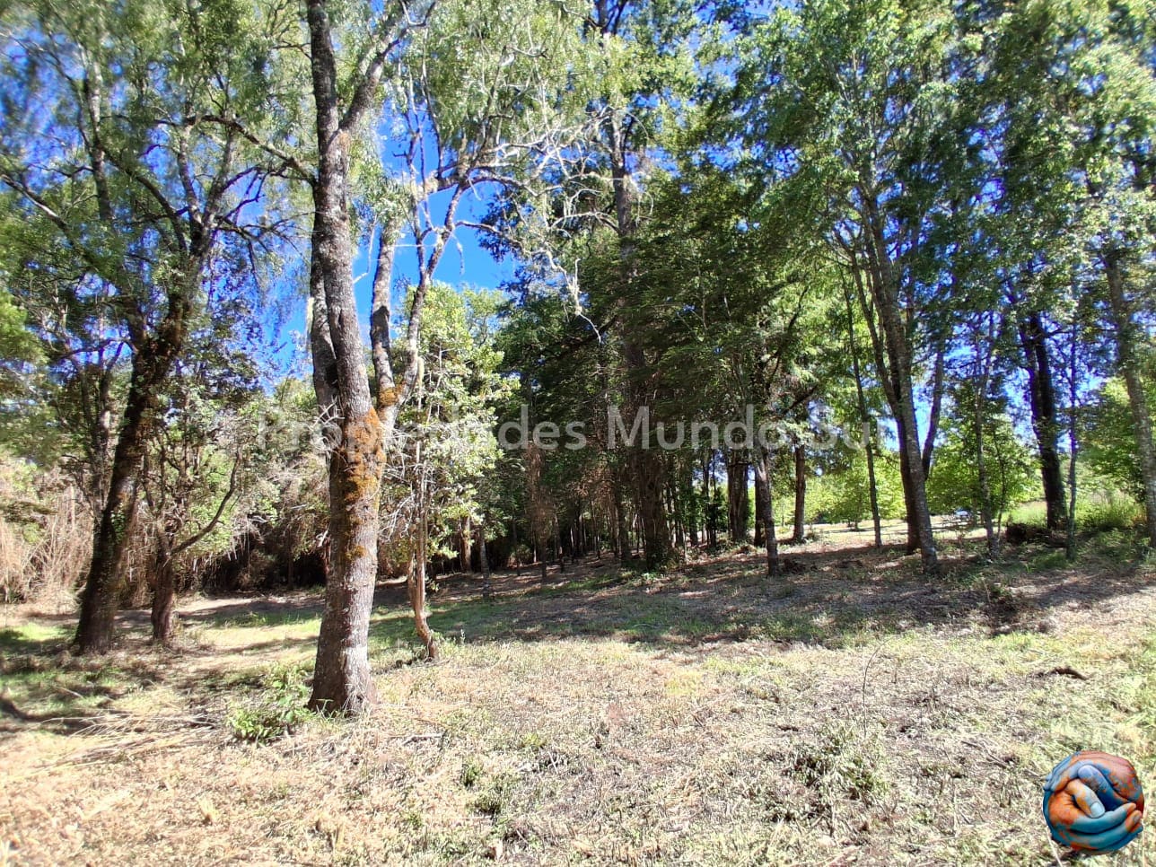 Parcela en venta en Valdivia — foto 4