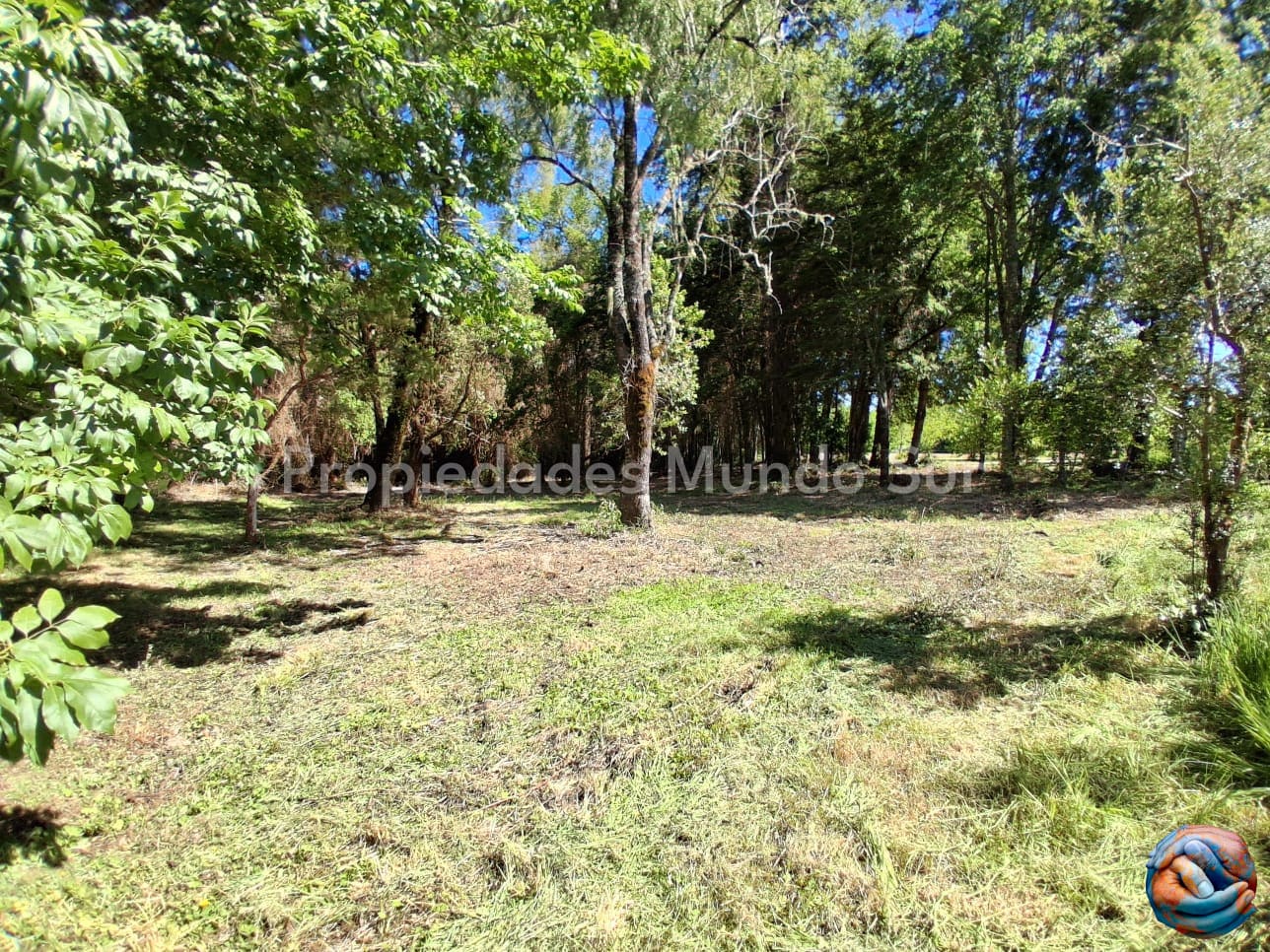 Parcela en venta en Valdivia — foto 5