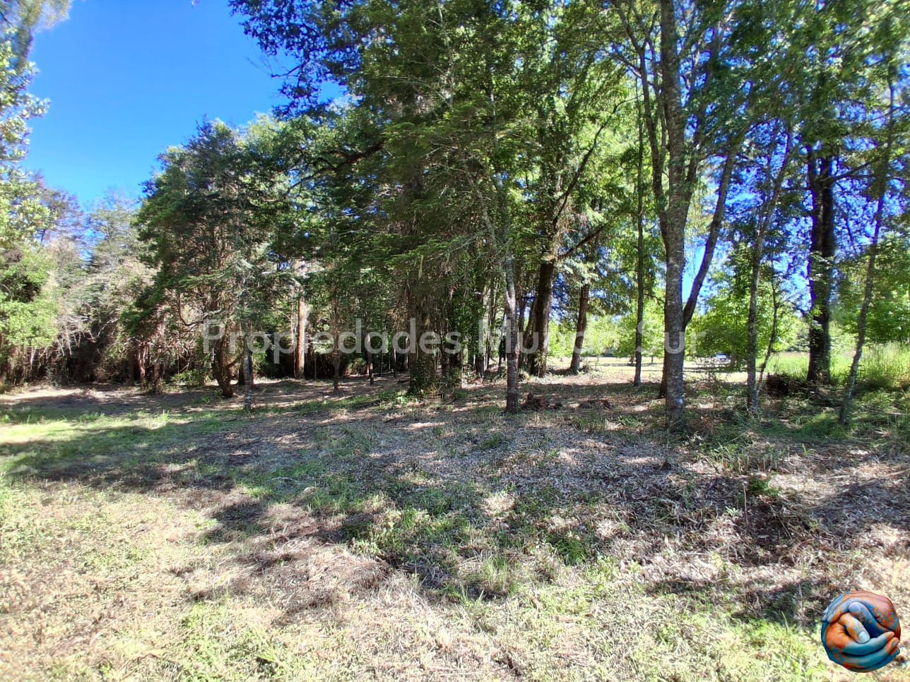 Parcela en venta en Valdivia — foto 7