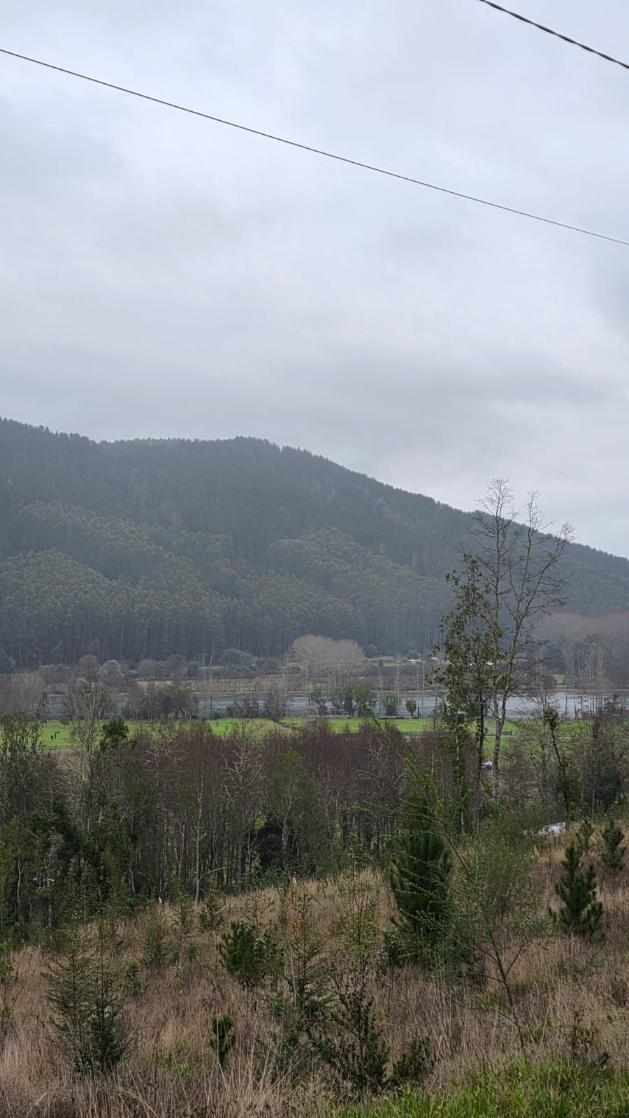 Parcela en venta en Valdivia — foto 1