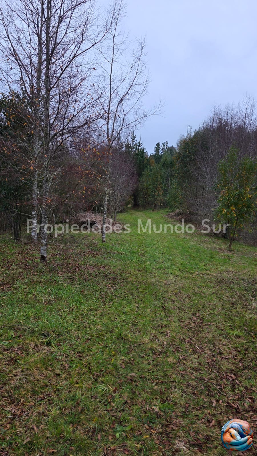Parcela en venta en Valdivia — foto 2