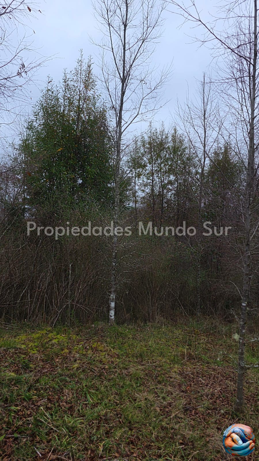 Parcela en venta en Valdivia — foto 3