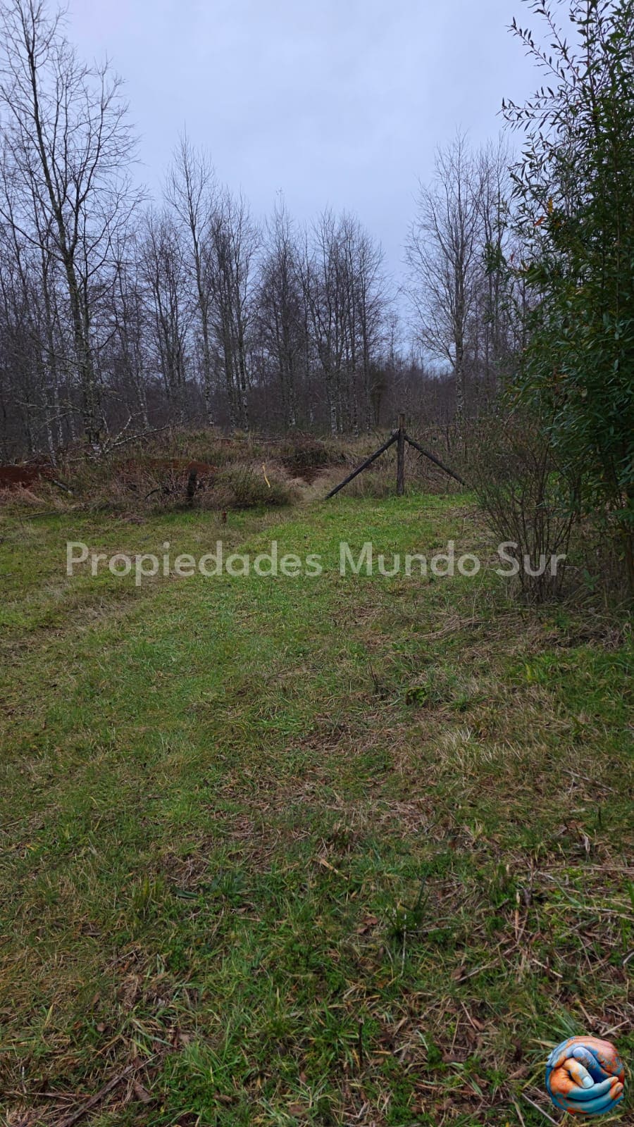 Parcela en venta en Valdivia — foto 4