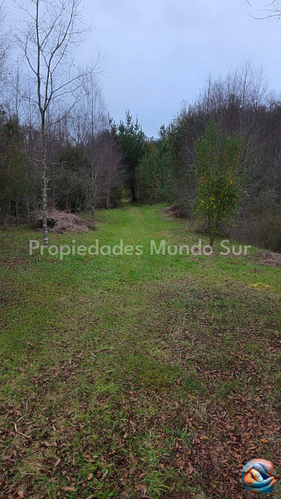 Parcela en venta en Valdivia — foto 5