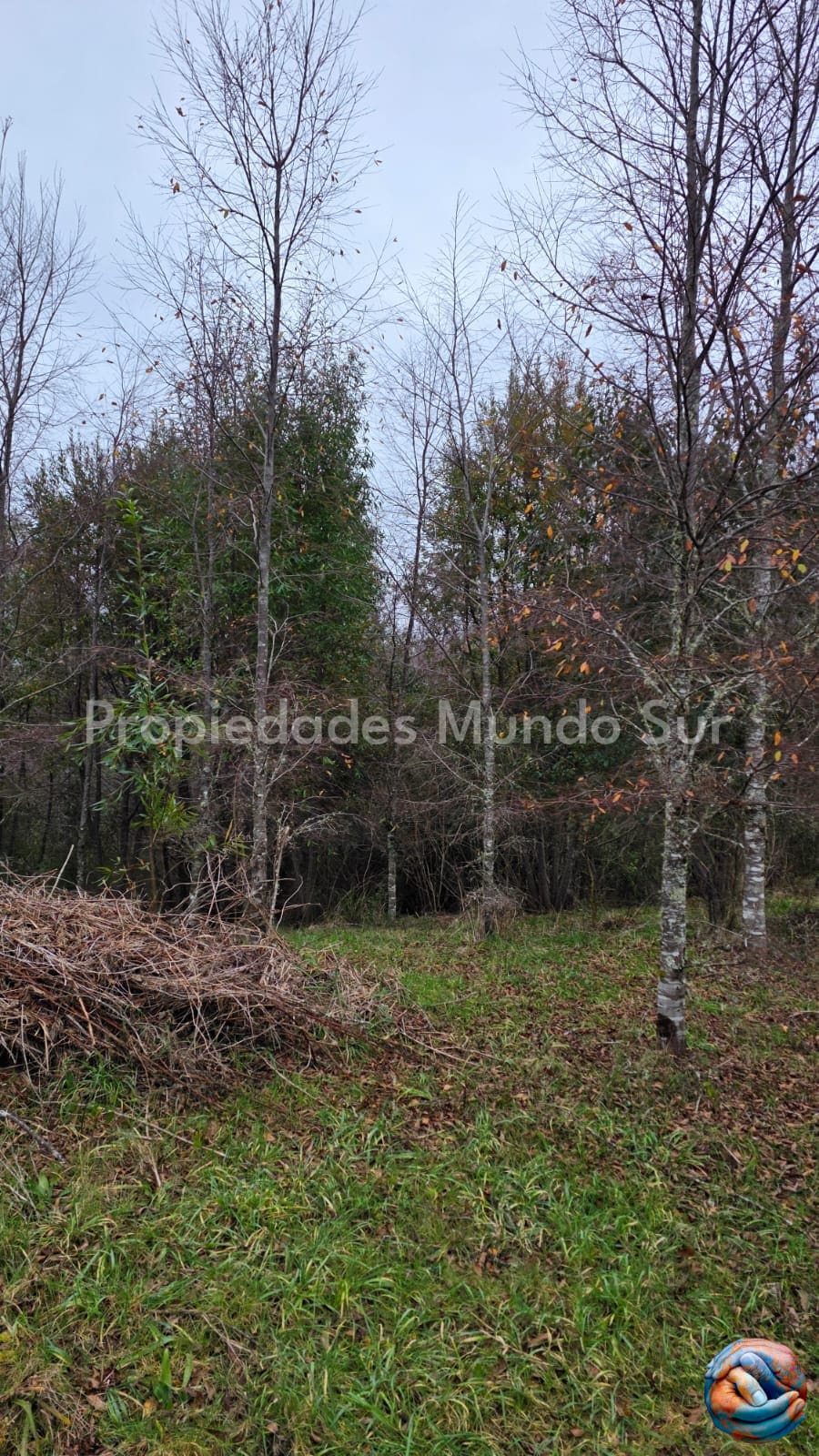 Parcela en venta en Valdivia — foto 6