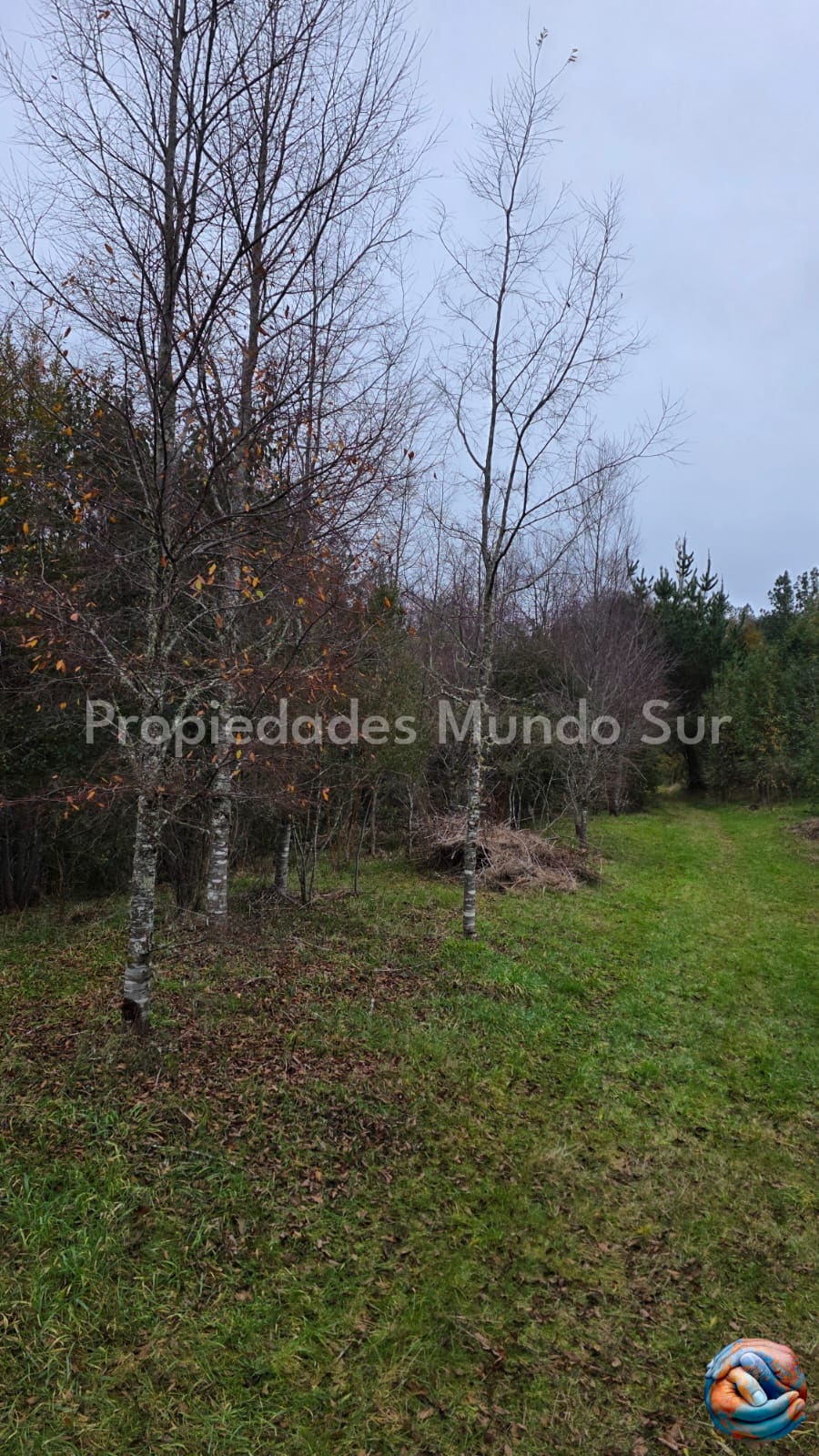 Parcela en venta en Valdivia — foto 7