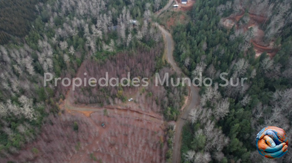 Parcela en venta en Valdivia — foto 8
