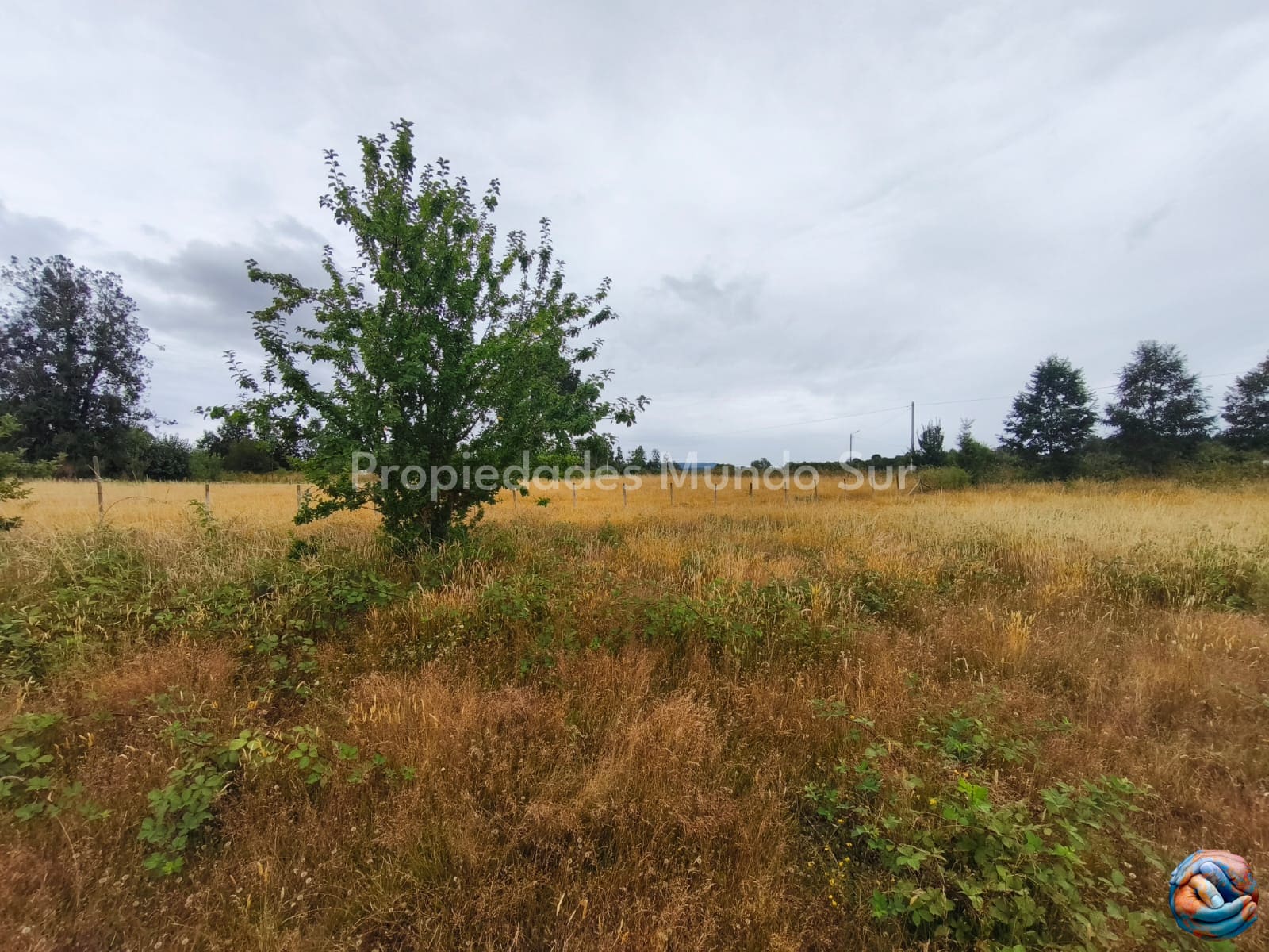 Parcela en venta en Valdivia — foto 2