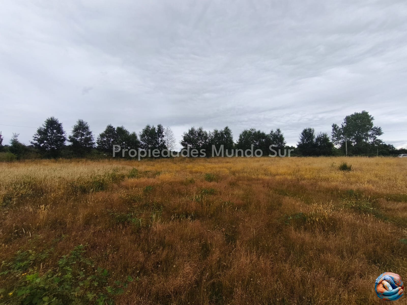 Parcela en venta en Valdivia — foto 4