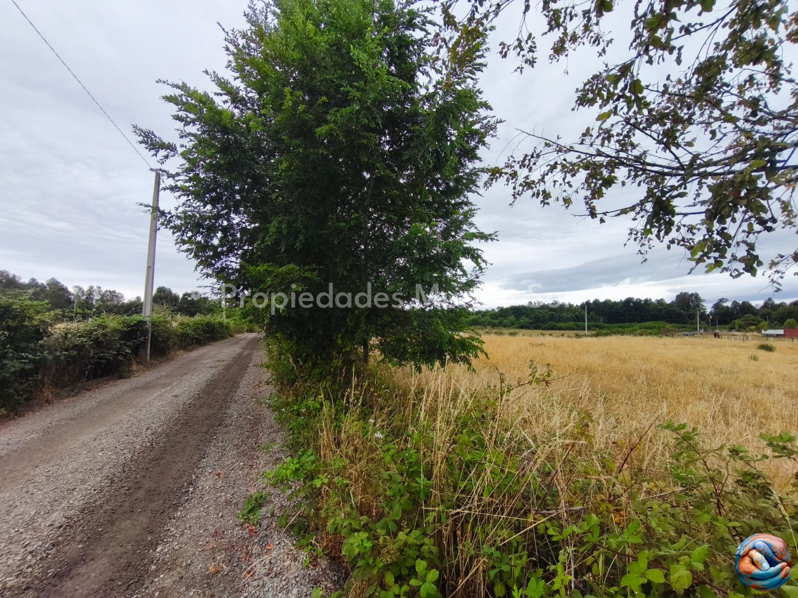 Parcela en venta en Valdivia — foto 6