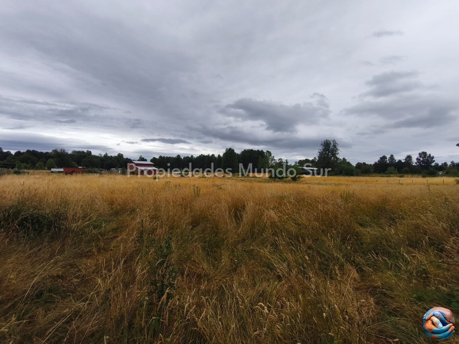 Parcela en venta en Valdivia — foto 8