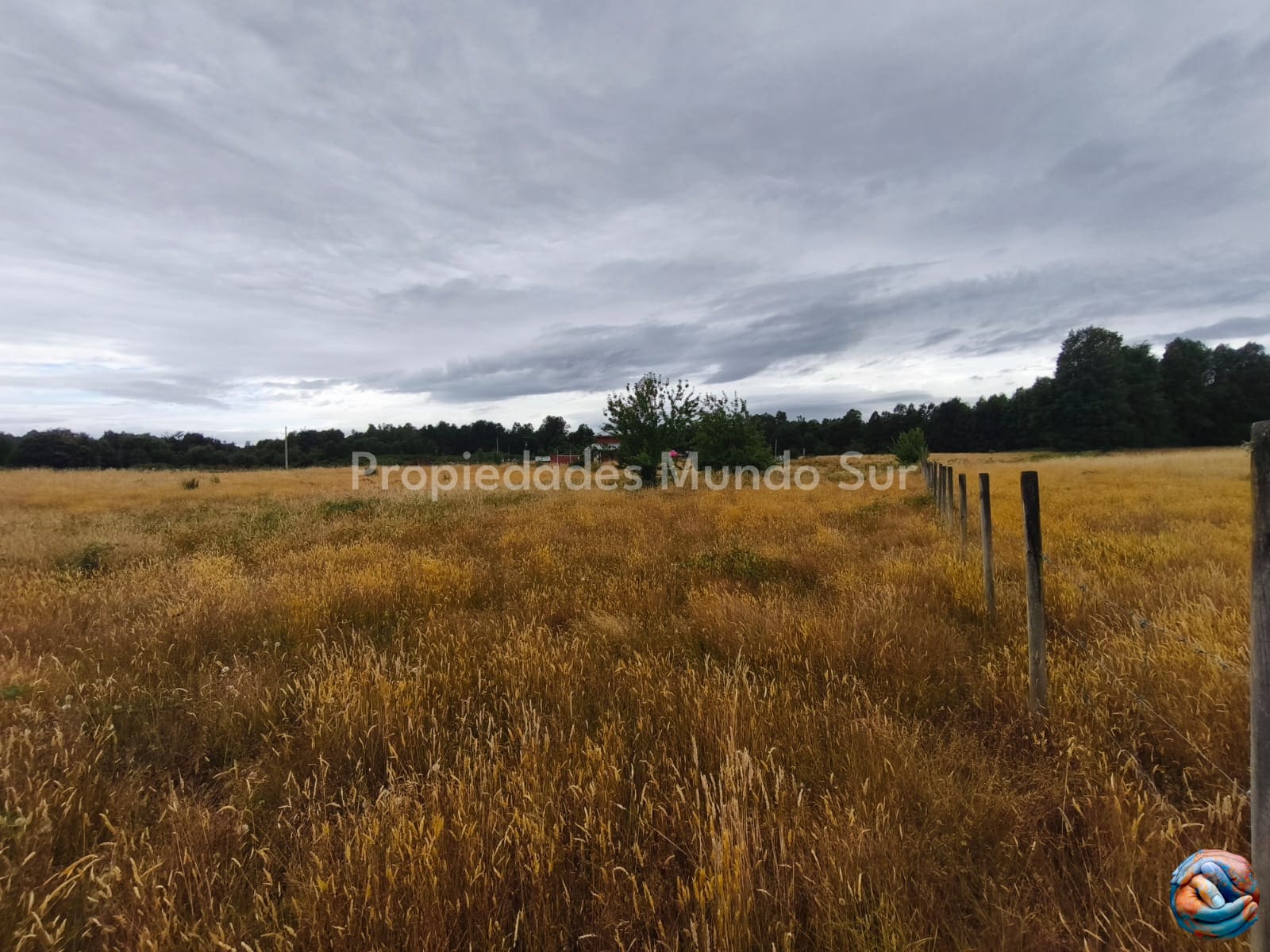 Parcela en venta en Valdivia — foto 9