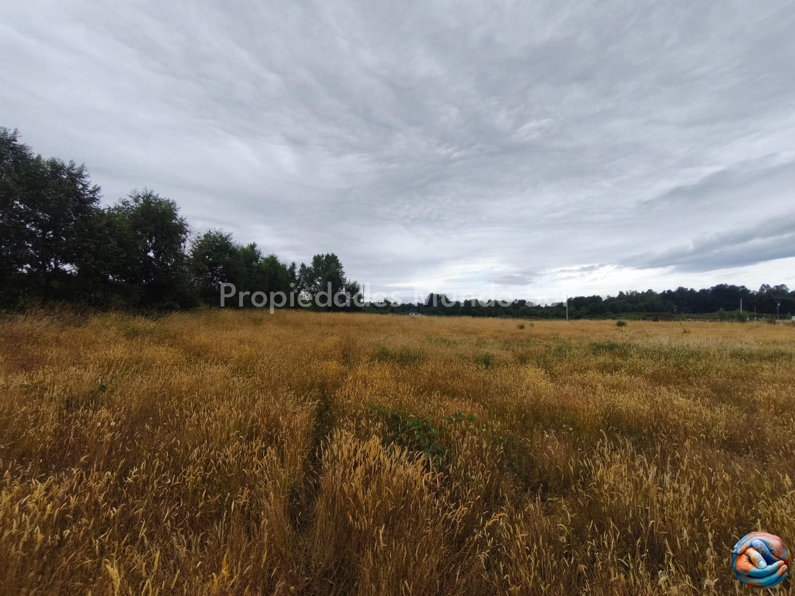 Parcela en venta en Valdivia — foto 10
