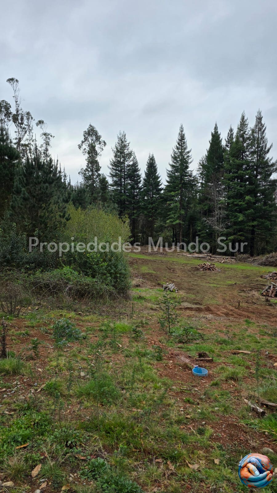 Parcela en venta en Valdivia — foto 3