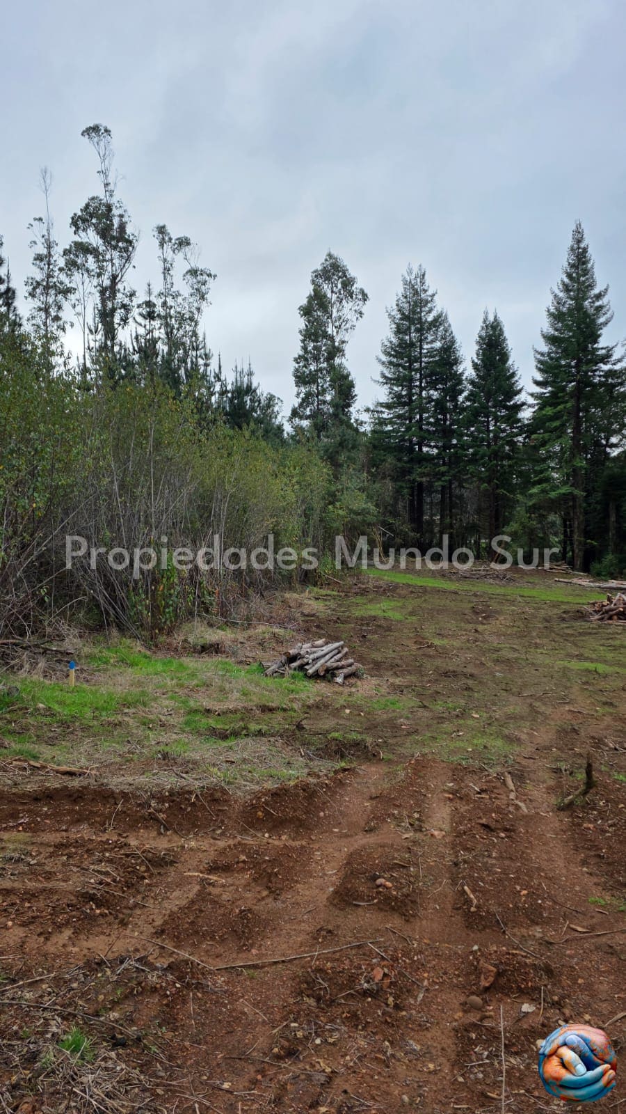 Parcela en venta en Valdivia — foto 4