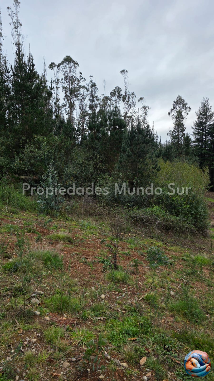 Parcela en venta en Valdivia — foto 5