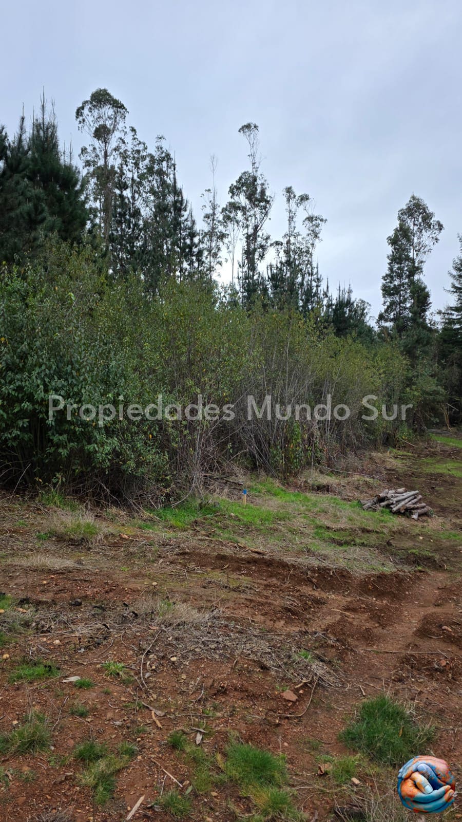 Parcela en venta en Valdivia — foto 6