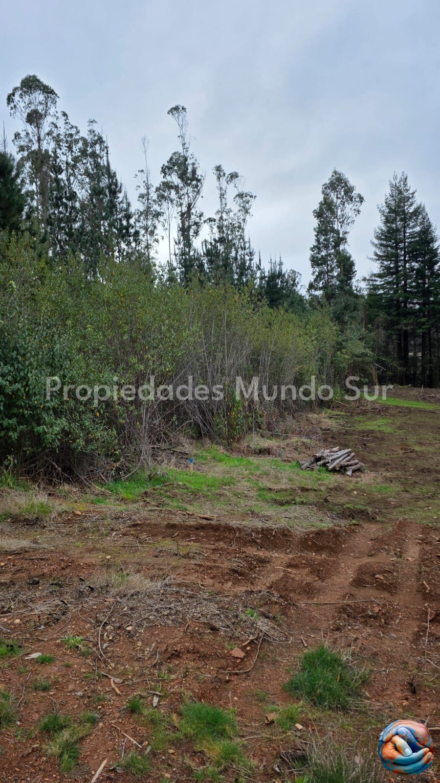 Parcela en venta en Valdivia — foto 7