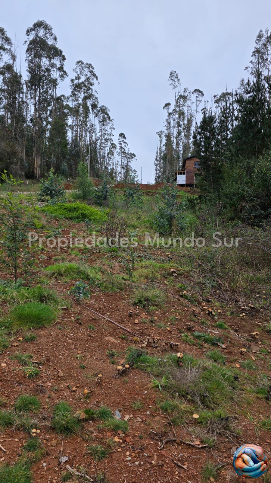 Parcela en venta en Valdivia — foto 9