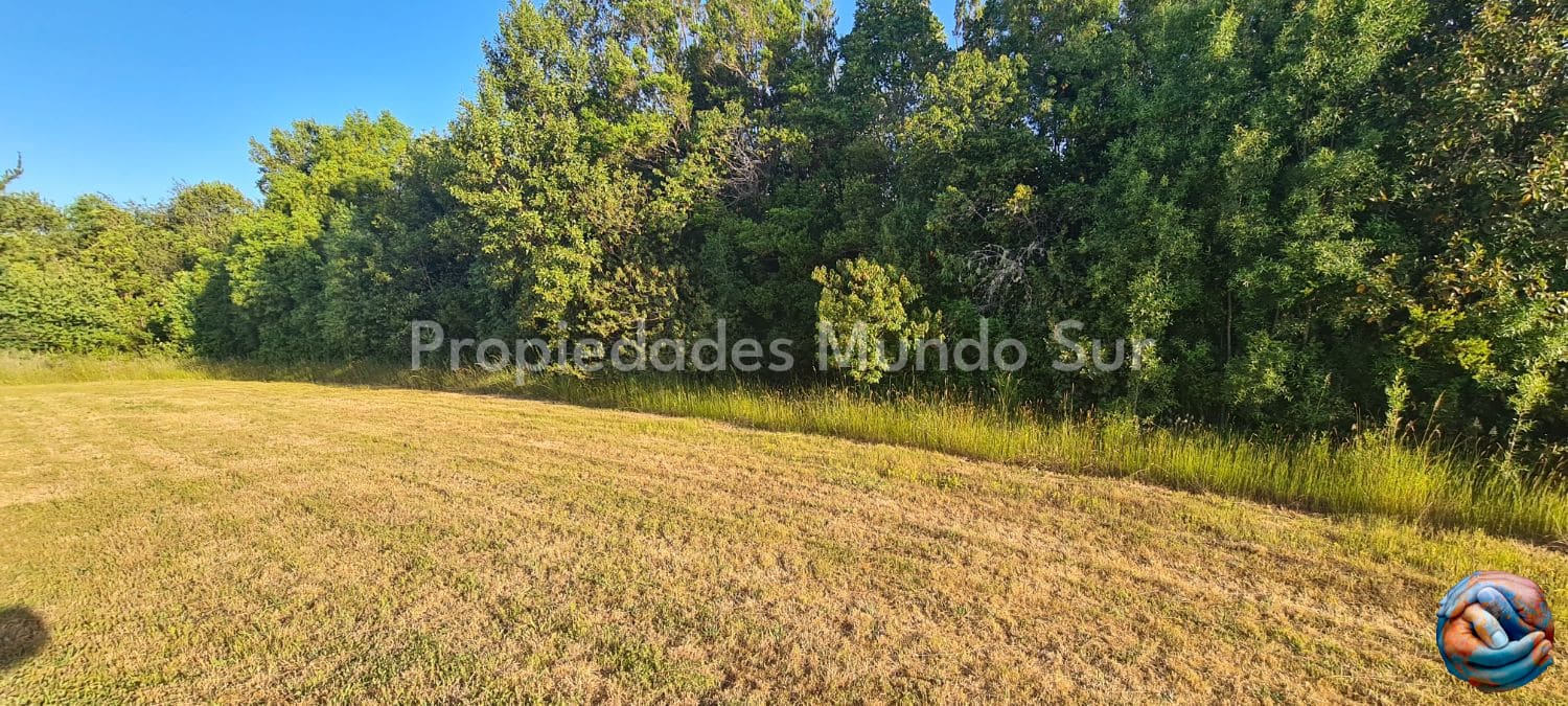 Parcela en venta en Valdivia — foto 9