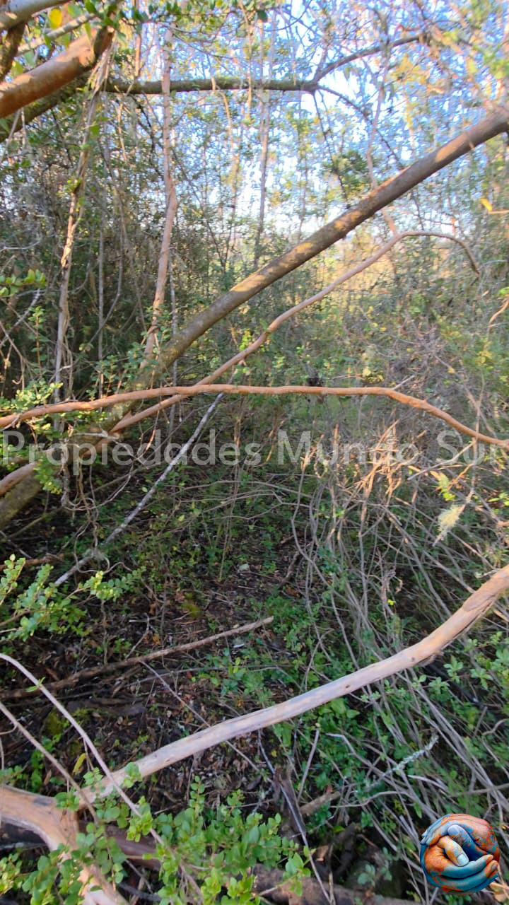 Parcela en venta en Valdivia — foto 6