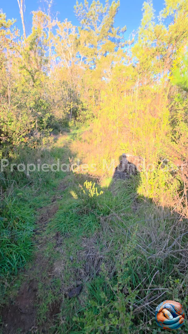 Parcela en venta en Valdivia — foto 8