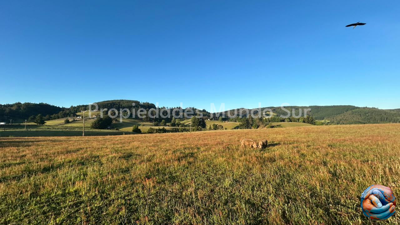 Parcela en venta en La Unión — foto 5