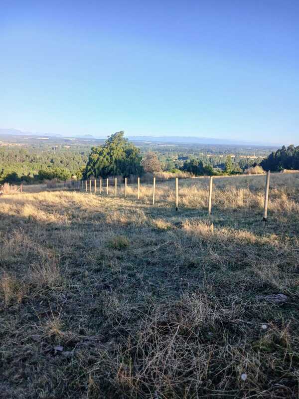 Parcela en venta en Paillaco — foto 1