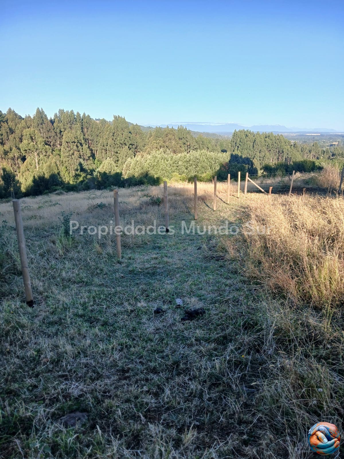Parcela en venta en Paillaco — foto 2