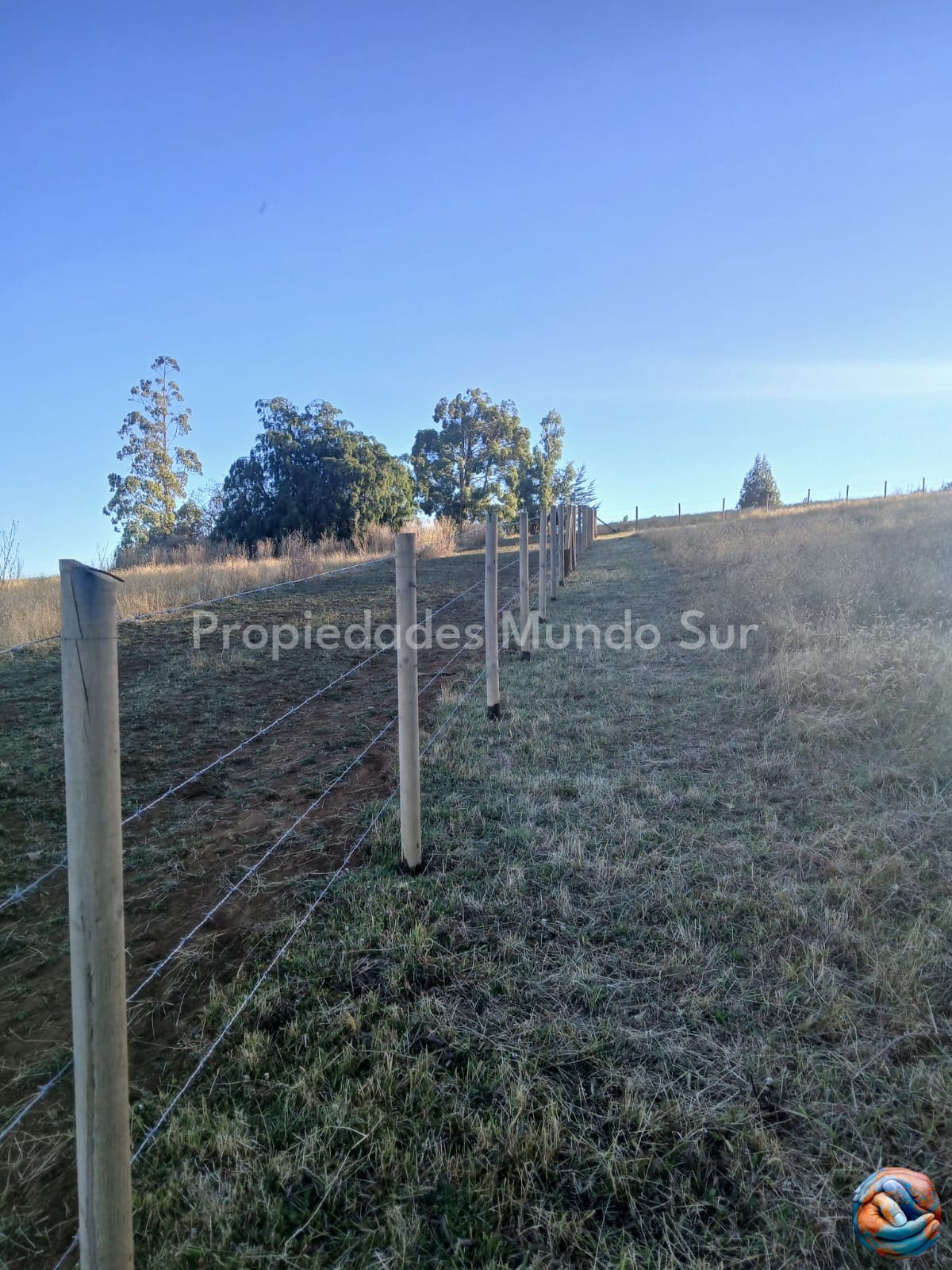 Parcela en venta en Paillaco — foto 3