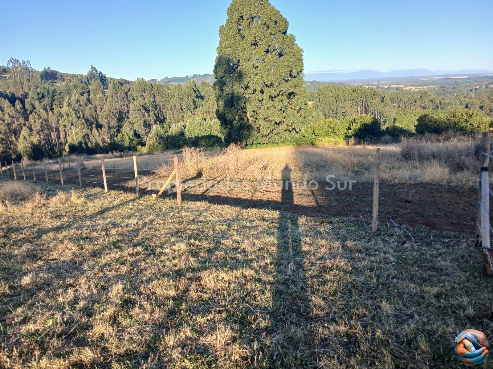 Parcela en venta en Paillaco — foto 4
