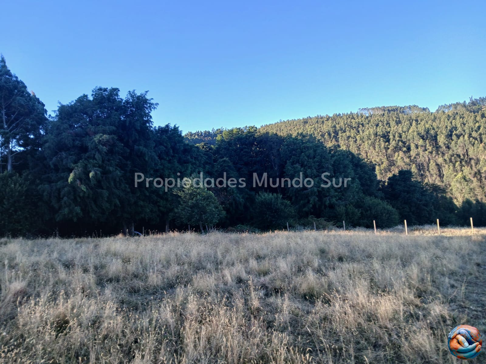 Parcela en venta en Paillaco — foto 5