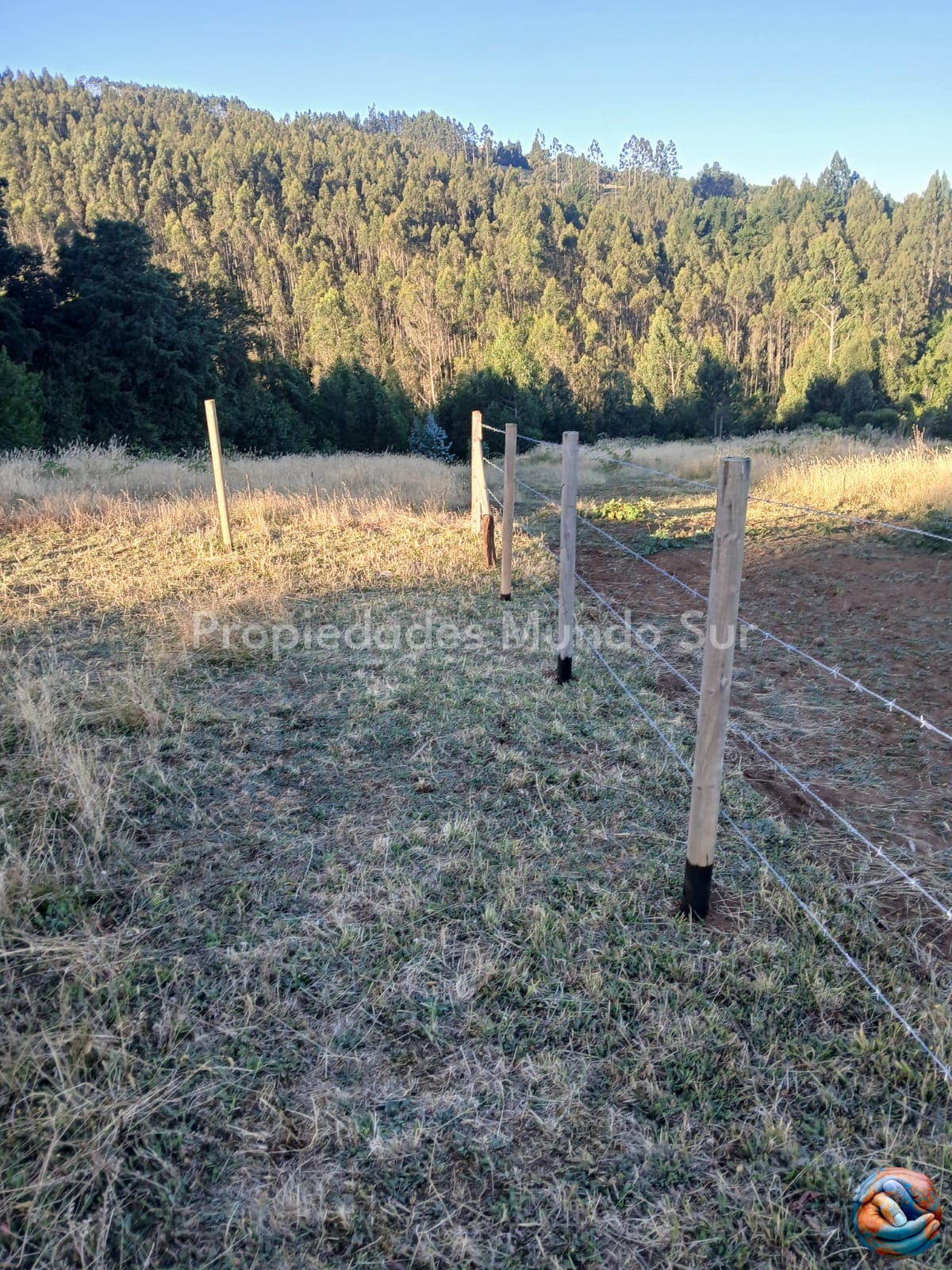 Parcela en venta en Paillaco — foto 6