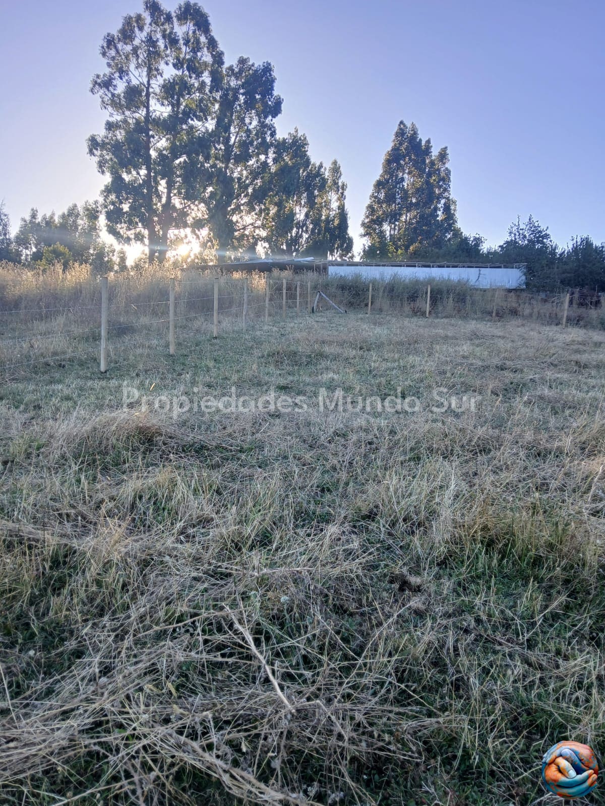 Parcela en venta en Paillaco — foto 7