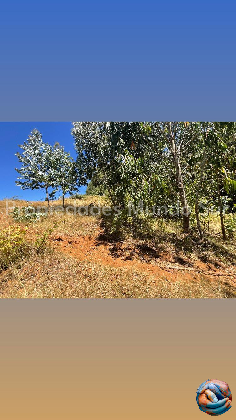 Parcela en venta en Paillaco — foto 8