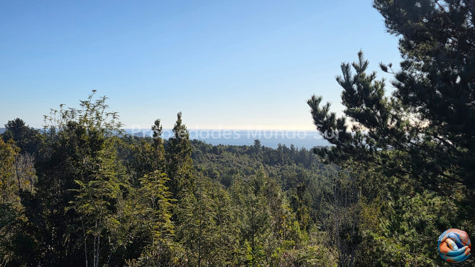Parcela en venta en Valdivia — foto 4