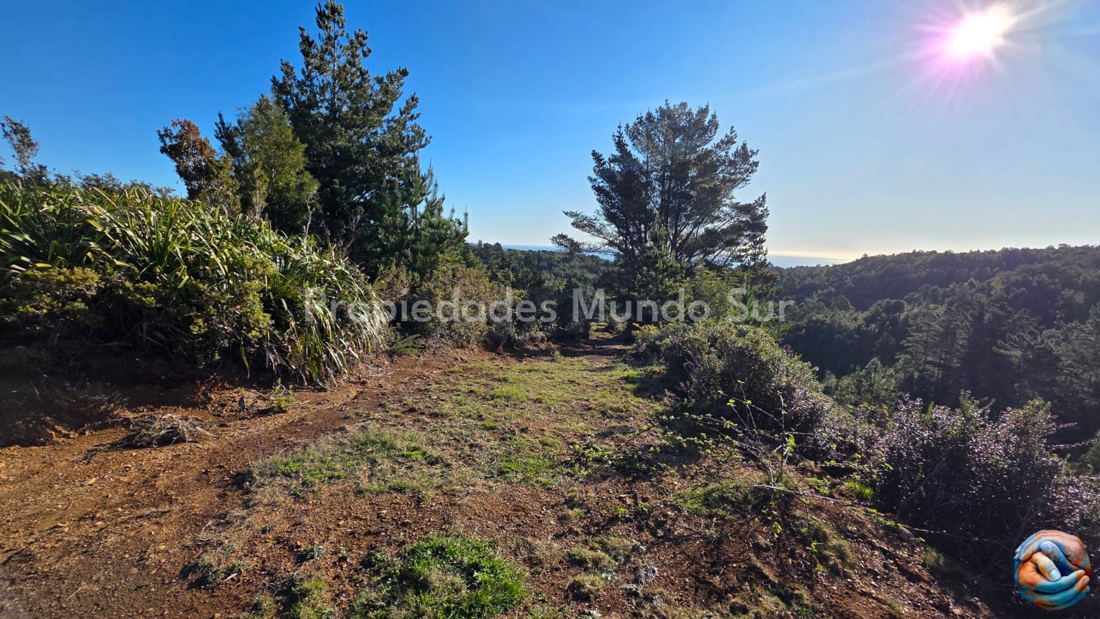 Parcela en venta en Valdivia — foto 6