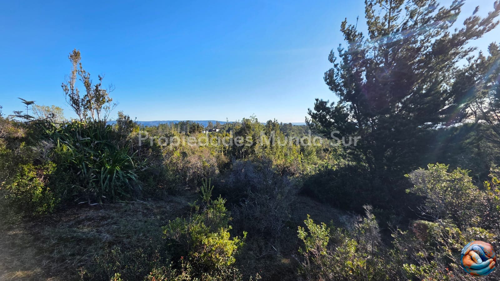 Parcela en venta en Valdivia — foto 7