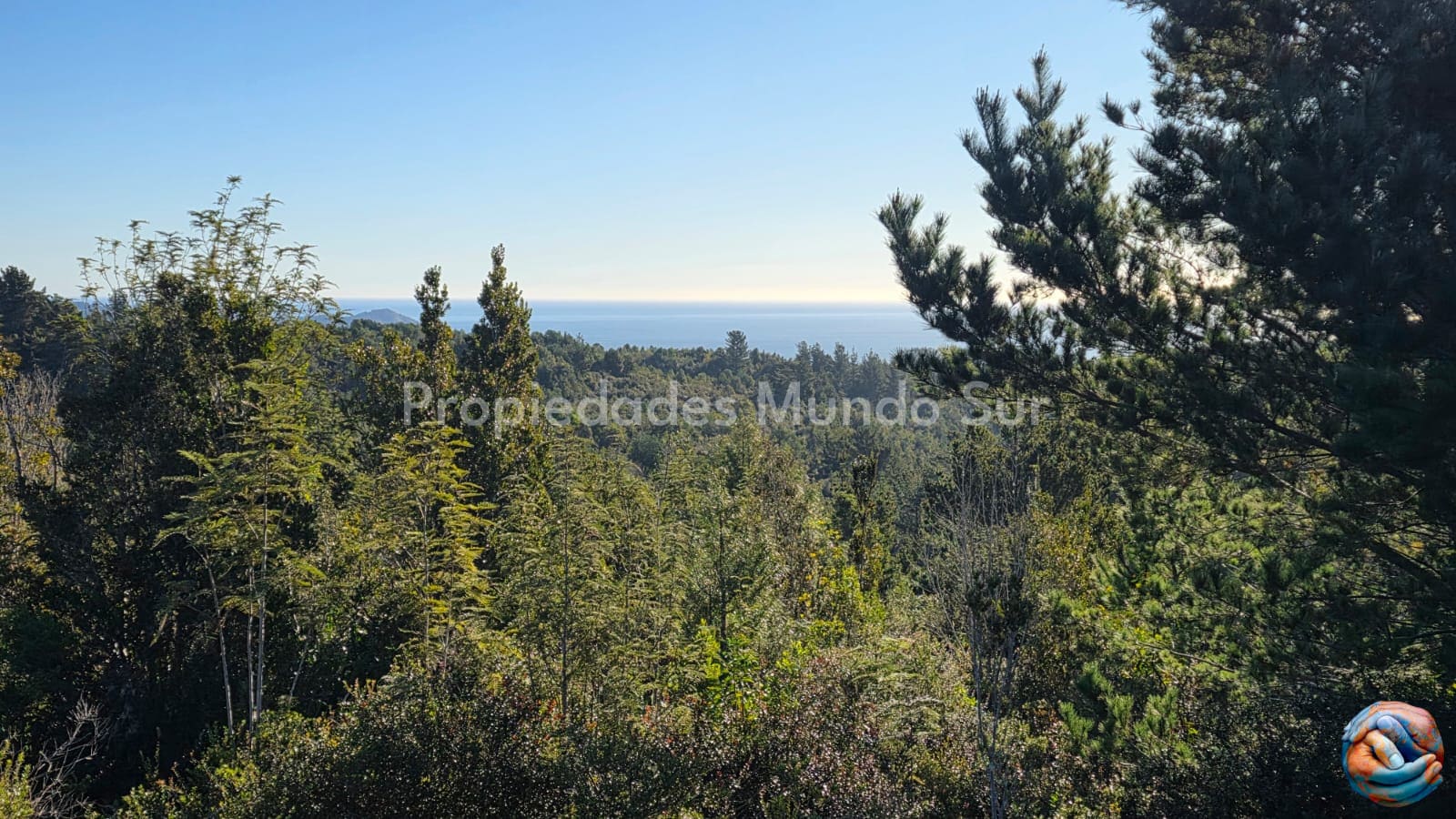 Parcela en venta en Valdivia — foto 8