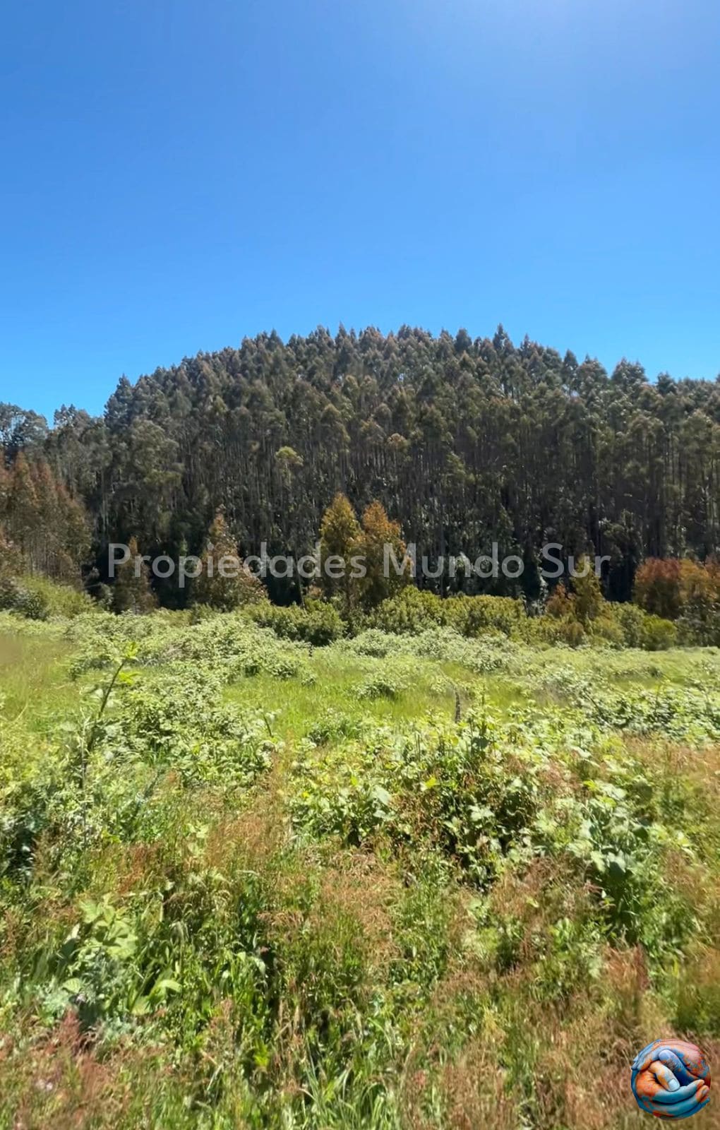 Parcela en venta en Paillaco — foto 2