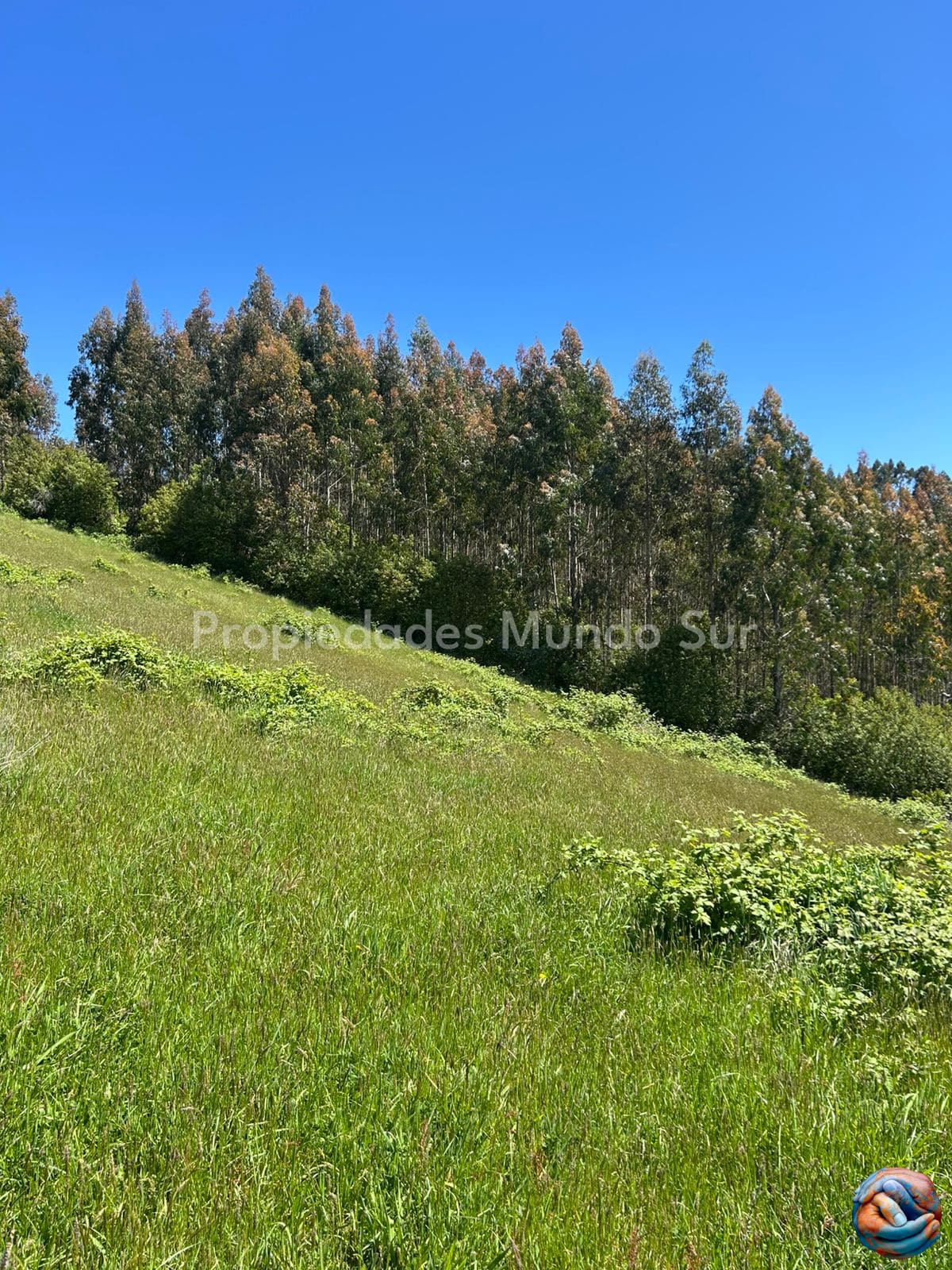 Parcela en venta en Paillaco — foto 3