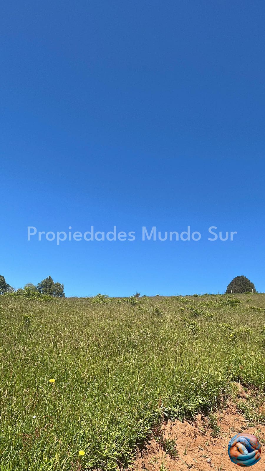 Parcela en venta en Paillaco — foto 4