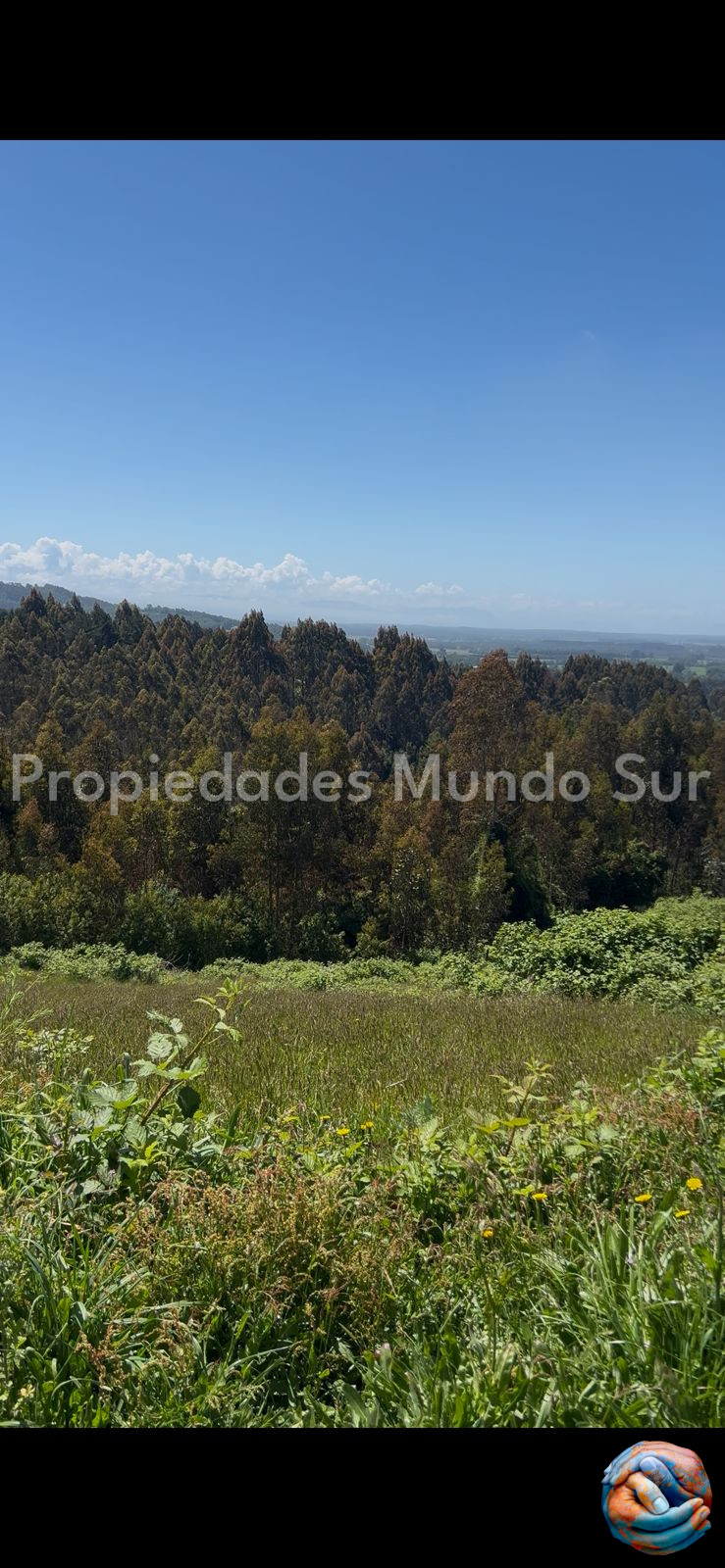 Parcela en venta en Paillaco — foto 5