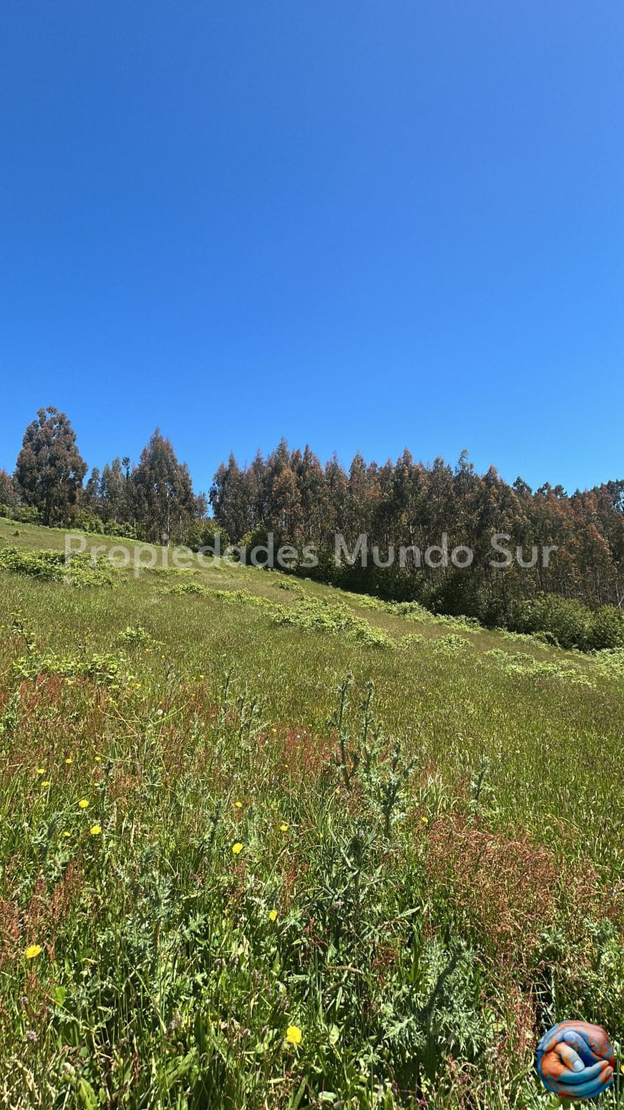 Parcela en venta en Paillaco — foto 6