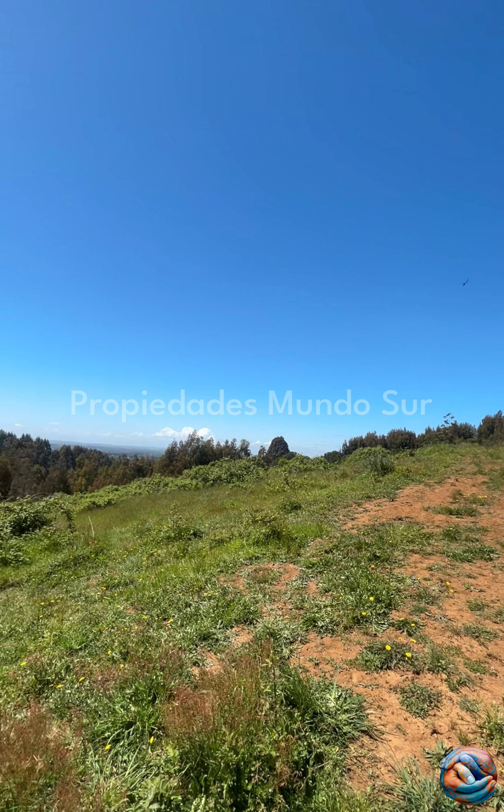 Parcela en venta en Paillaco — foto 7