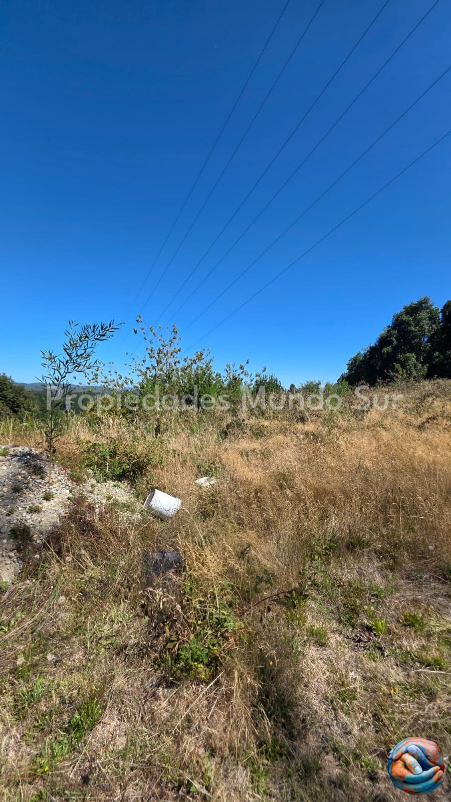Parcela en venta en Valdivia — foto 3