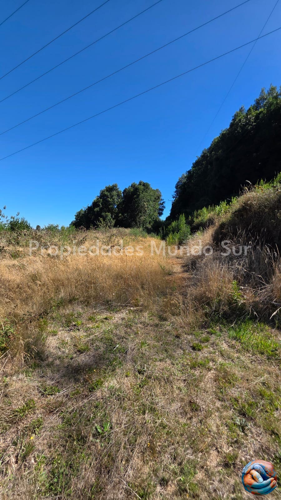 Parcela en venta en Valdivia — foto 4