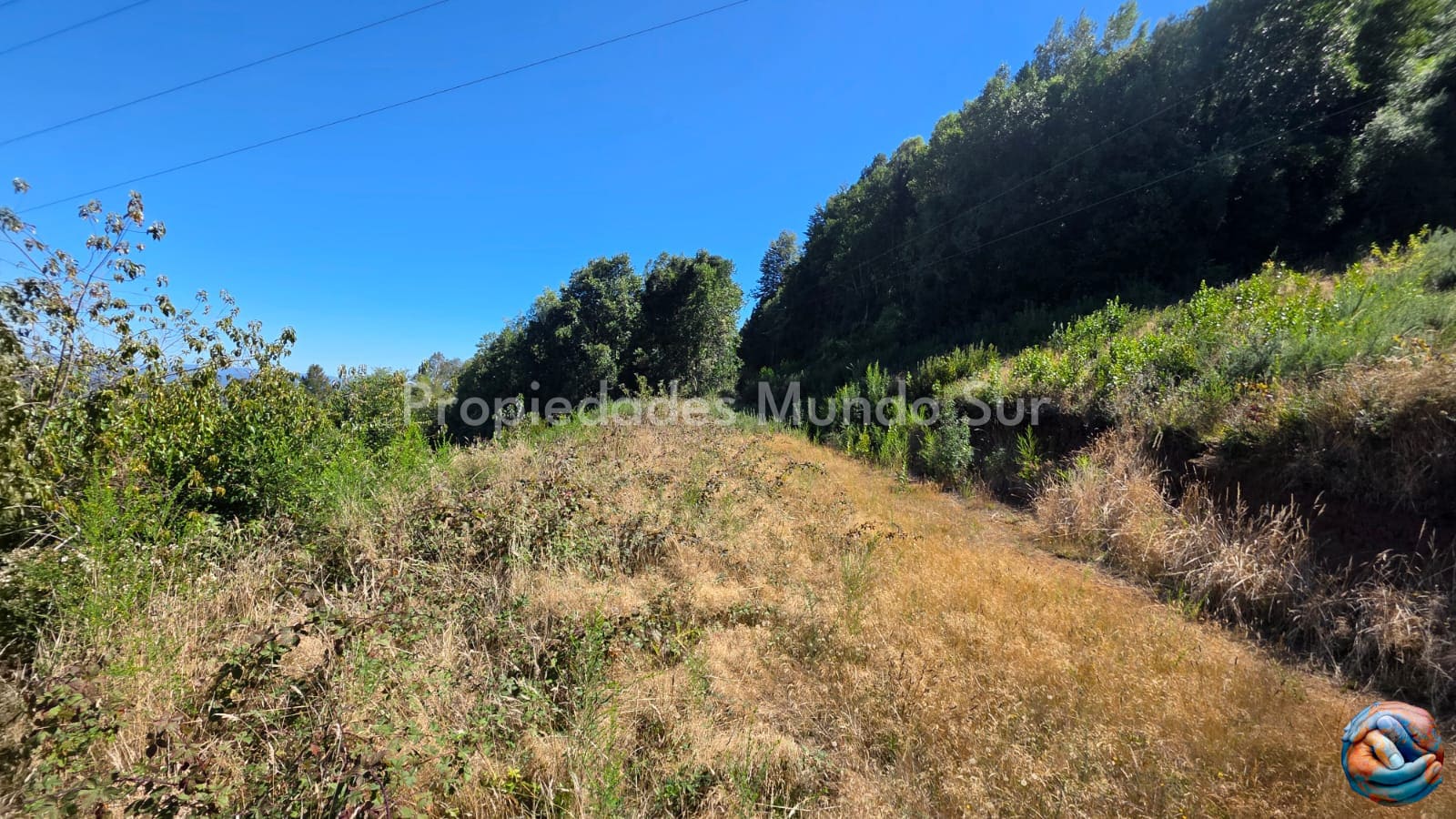 Parcela en venta en Valdivia — foto 5