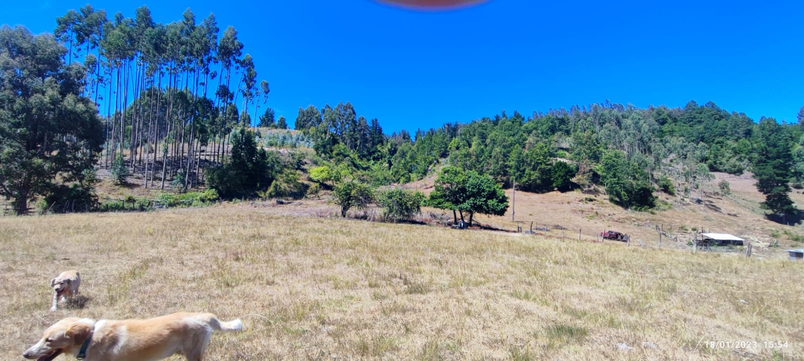 Terreno en venta en La Unión — foto 1