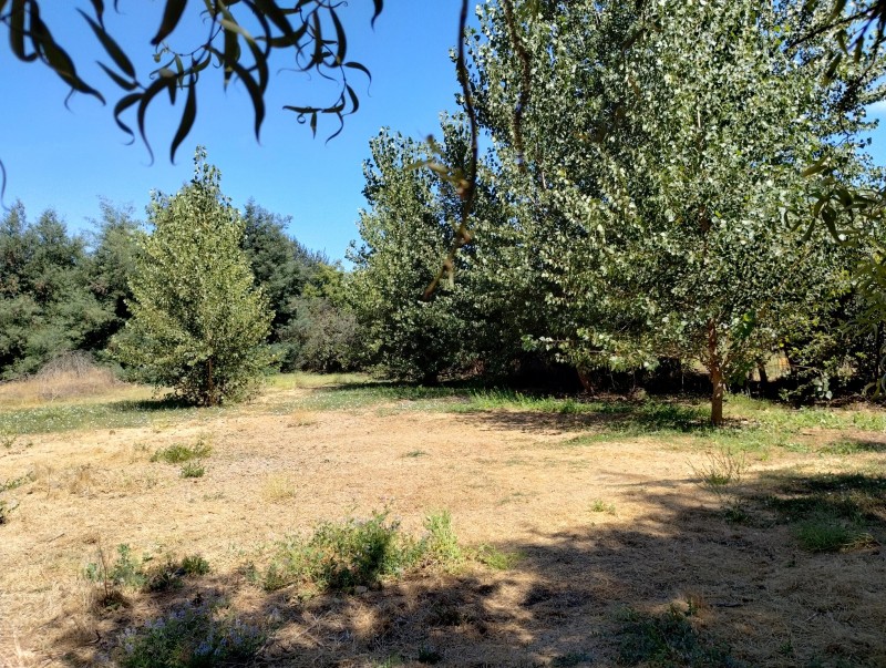 Terreno en venta en Paine — foto 2